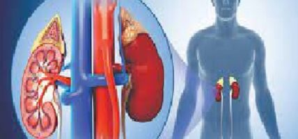 के तपाईलाई मिर्गौलाको रोगबारे थाह छ ? छैन भने थाहा पाउन पर्छ