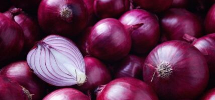 प्याजको मूल्य ४० प्रतिशत महँगो हुने