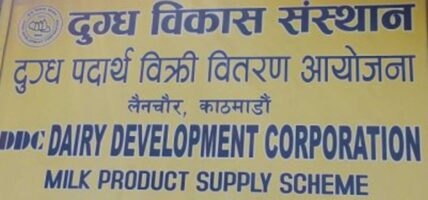 दुग्ध किसानको रकम भुक्तानीका लागि मन्त्रिपरिषदबाट स्वीकृत