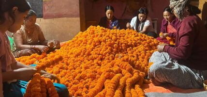 तिहारलाई लक्षित गरेर सयपत्री फूलको माला