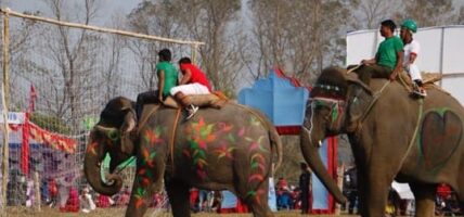 हात्ती तथा पर्यटन महोत्सव पुस ११ देखि