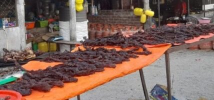 मासिक दुई लाख आम्दानी सुकुटी बेचेर