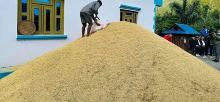 महोत्तरीमा धान उत्पादन