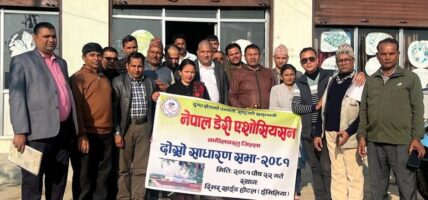 लुम्बिनी प्रदेशमा दुध पाउडर प्लान्ट नहुँदा दुध व्यवसायीलाई समस्या