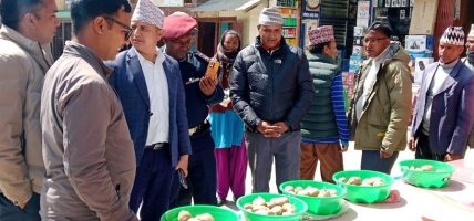 जुम्लामा आलु प्रदर्शनी मेला आयोजना गरिएको छ