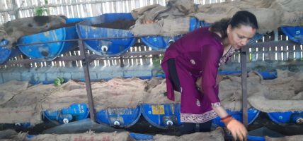 गड्यौला मल खेतीबाली लागि बहुउपयोगी