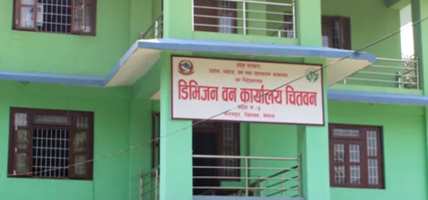 एक लाख क्युफिट काठ निकाल्दै वन कार्यालय