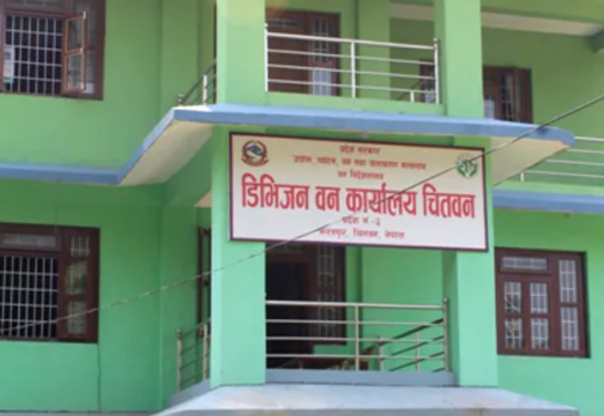 एक लाख क्युफिट काठ निकाल्दै वन कार्यालय