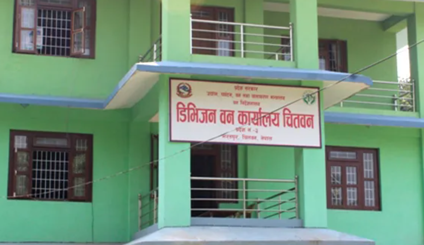 एक लाख क्युफिट काठ निकाल्दै वन कार्यालय