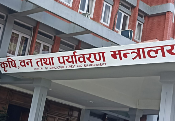 कृषि बजारको दैनिक थोक मूल्य अब मोबाइलबाटै थाहा पाइने