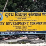 डिडिसीका ३० ‘आउटलेट’ सञ्चालनमा आउँदै डिडिसीका ३० ‘आउटलेट’ सञ्चालनमा आउँदै