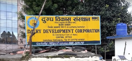 डिडिसीका ३० ‘आउटलेट’ सञ्चालनमा आउँदै डिडिसीका ३० ‘आउटलेट’ सञ्चालनमा आउँदै