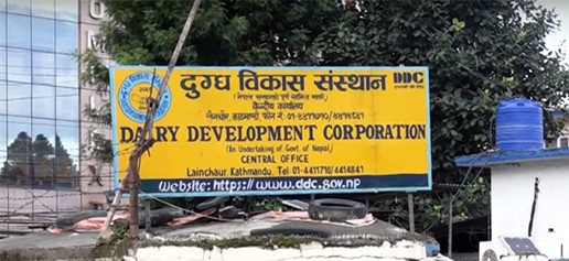 डिडिसीका ३० ‘आउटलेट’ सञ्चालनमा आउँदै डिडिसीका ३० ‘आउटलेट’ सञ्चालनमा आउँदै